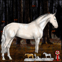 Horse Color:White Spotted Silver Perlino Rabicano 