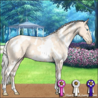 Horse Color:White Spotted Silver Perlino