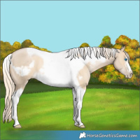Horse Color:Chocolate Palomino Pearl Dun Tobiano Frame  and Palomino Pearl Dun Tobiano Frame 