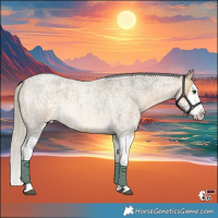 Horse Color:White Spotted Silver Buckskin Roan Dun Splash 