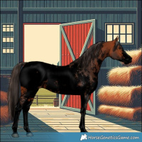 Horse Color:Void Bay Sabino Snowcap Rabicano 