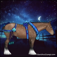 Horse Color:Gray Black Pearl Appaloosa