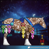 Horse Color:Gray Black Pearl Appaloosa