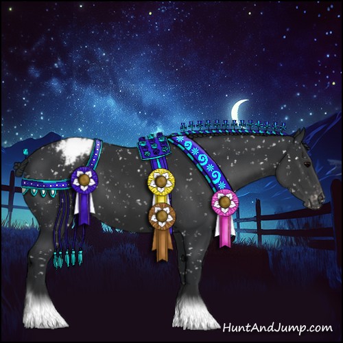 Horse Color:Black Appaloosa 