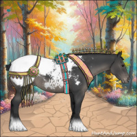 Horse Color:Black Appaloosa 