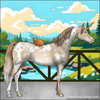 Horse Color:White Spotted Liver Red Dun Pearl 