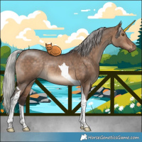 Horse Color:Silver Brown Dun Tobiano Rabicano 