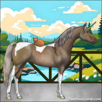 Horse Color:Silver Brown Dun Tobiano 