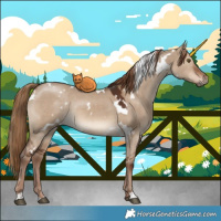 Horse Color:White Spotted Liver Red Dun Rabicano