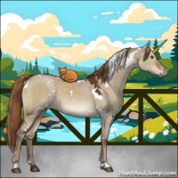 Horse Color:White Spotted Liver Red Dun Rabicano