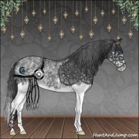Horse Color:White Spotted Black Splash 