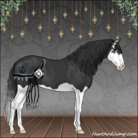 Horse Color:Black Splash 
