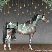 Horse Color:White Spotted Bay Onyx 
