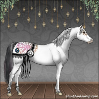 Horse Color:White Spotted Brown 