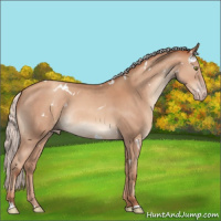 Horse Color:White Spotted Silver Classic Champagne Rabicano