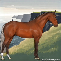 Horse Color:Silver Brown 
