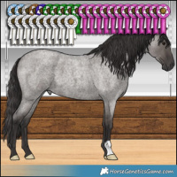 Horse Color:Smoky Grullo Roan 