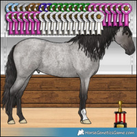Horse Color:Smoky Grullo Roan 