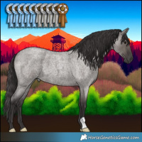 Horse Color:Smoky Grullo Roan