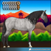 Horse Color:Smoky Grullo Roan 