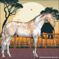 Horse Color:Gray White Spotted Silver Perlino 