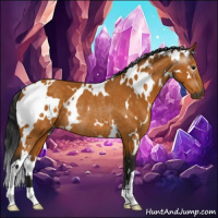 Horse Color:Gray White Spotted Buckskin Rabicano 