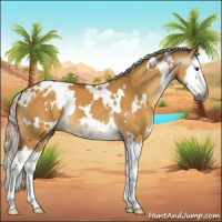 Horse Color:Gray White Spotted Silver Buckskin Dun Splash Varnish 