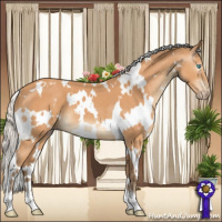 Horse Color:Gray White Spotted Silver Perlino 