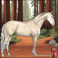 Horse Color:Gray White Spotted Silver Perlino Dun Splash 