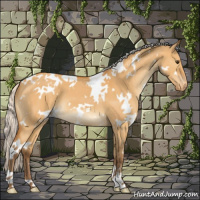 Horse Color:White Spotted Silver Buckskin Dun Varnish 