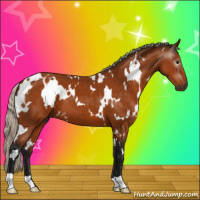 Horse Color:Gray White Spotted Silver Buckskin 