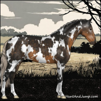 Horse Color:Gray White Spotted Silver Smoky Black 
