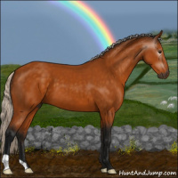 Horse Color:Gray Silver Buckskin 