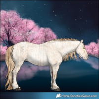 Horse Color:Bay Roan Pearl Dun  and Buckskin Roan Pearl Dun 