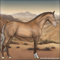 Horse Color:Gray Silver Amber Champagne Rabicano