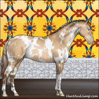 Horse Color:Gray White Spotted Buckskin Pearl 