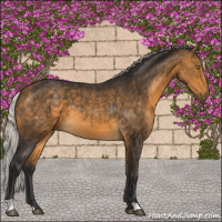 Horse Color:Silver Buckskin 