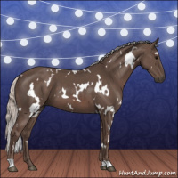 Horse Color:White Spotted Silver Black 