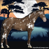 Horse Color:Gray White Spotted Classic Champagne 