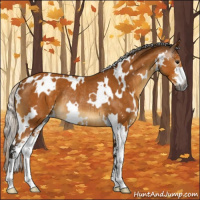 Horse Color:Gray White Spotted Silver Buckskin Sabino Rabicano 