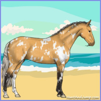 Horse Color:White Spotted Silver Buckskin 