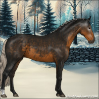 Horse Color:Gray Silver Smoky Black 