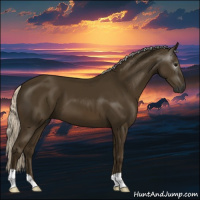 Horse Color:Gray Silver Smoky Black 
