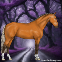 Horse Color:Gray Silver Buckskin