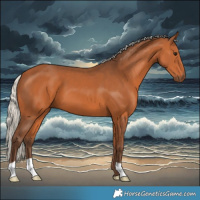 Horse Color:Silver Bay 