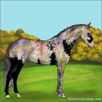 Horse Color:Nacre White Spotted Bay Dun 