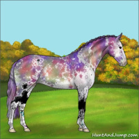 Horse Color:Nacre Watercolor White Spotted Blue Onyx Splash
