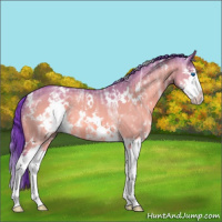 Horse Color:Watercolor White Spotted Brown Ice Dun Splash