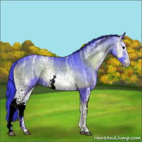 Horse Color:Watercolor White Spotted Blue Onyx Ice 