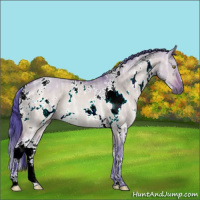 Horse Color:Watercolor White Spotted Brown Ice Dun 